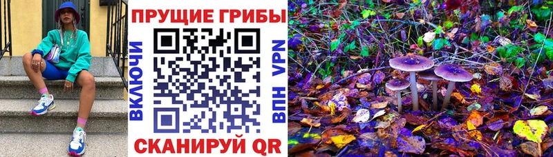 Псилоцибиновые грибы мицелий  Кириши 