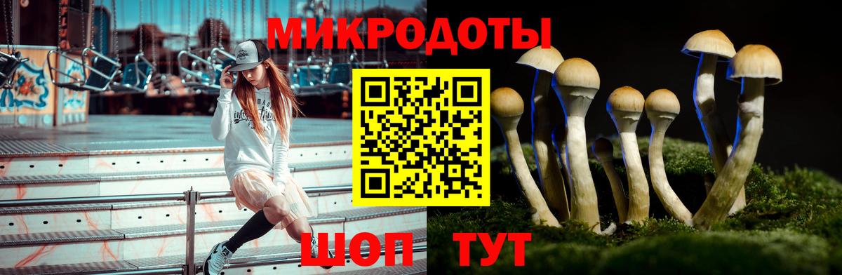 Псилоцибиновые грибы MAGIC MUSHROOMS  Вход с VPN  Псилоцибиновые грибы GOLDEN TEACHER  Кириши 